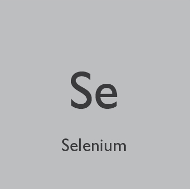 Your Thyroid + Selenium | Healthful Elements